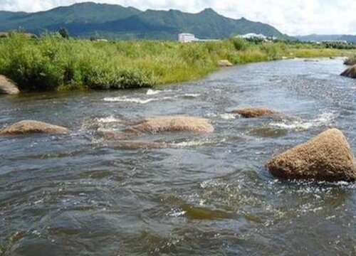 池塘水浇花好吗 河水和池塘水浇花哪种好