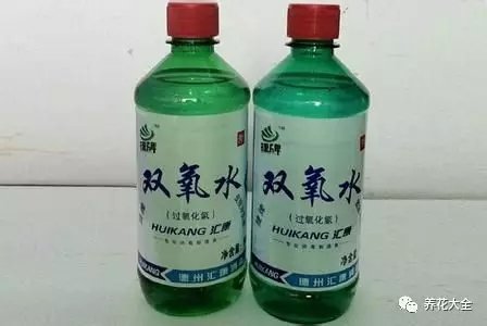 姐姐只用一盆水就让花爆盆，而且从不烂根黄叶，咋做到的？