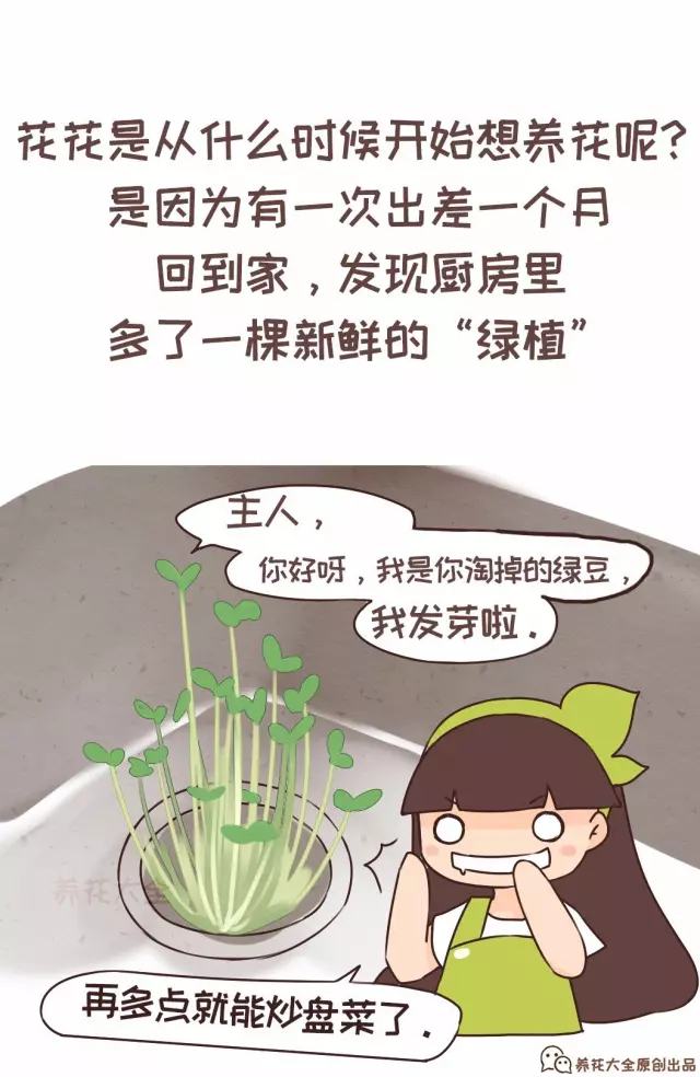 一家人都是养花奇才，是种怎样的体验？