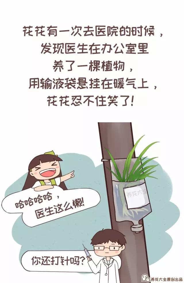 一家人都是养花奇才，是种怎样的体验？