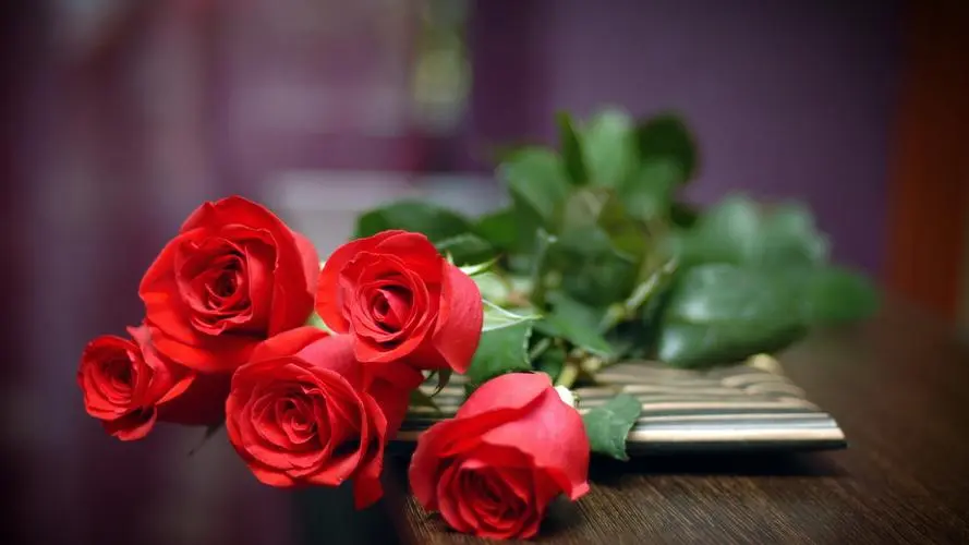 红玫瑰花的花语是什么？十一朵红玫瑰花代表什么