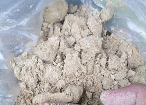 豆饼水浇花的正确方法 怎样用豆饼给花施肥