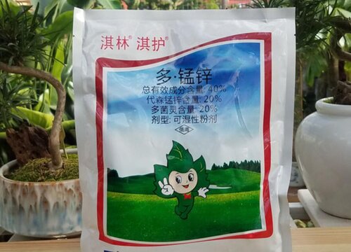 多菌灵溶液可以直接浇花吗 最佳的两种使用方法