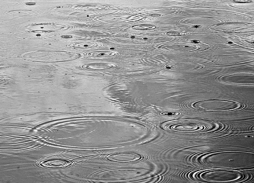 雨水浇花好不好 接雨水浇花的好处及方法