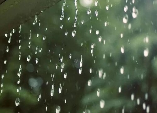 雨水浇花有什么好处 雨水收集后怎么保存浇花