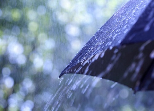 雨水浇花有什么好处 雨水收集后怎么保存浇花