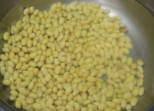 泡黄豆水能直接浇花吗 黄豆水浇花正确方法